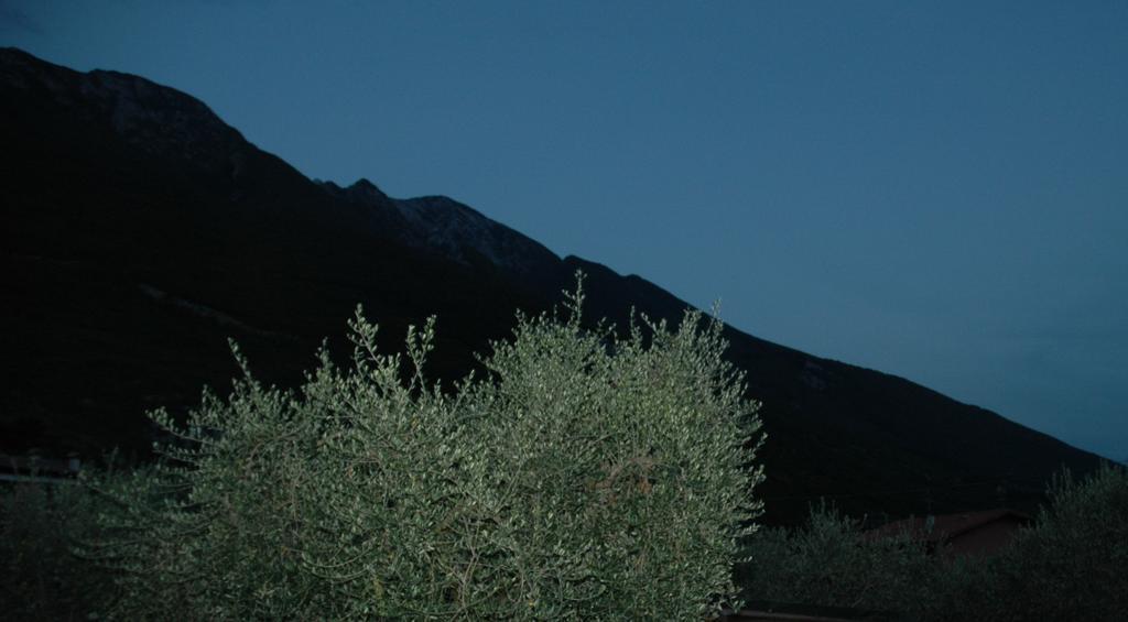 La Corte Di Magu Malcesine Dış mekan fotoğraf